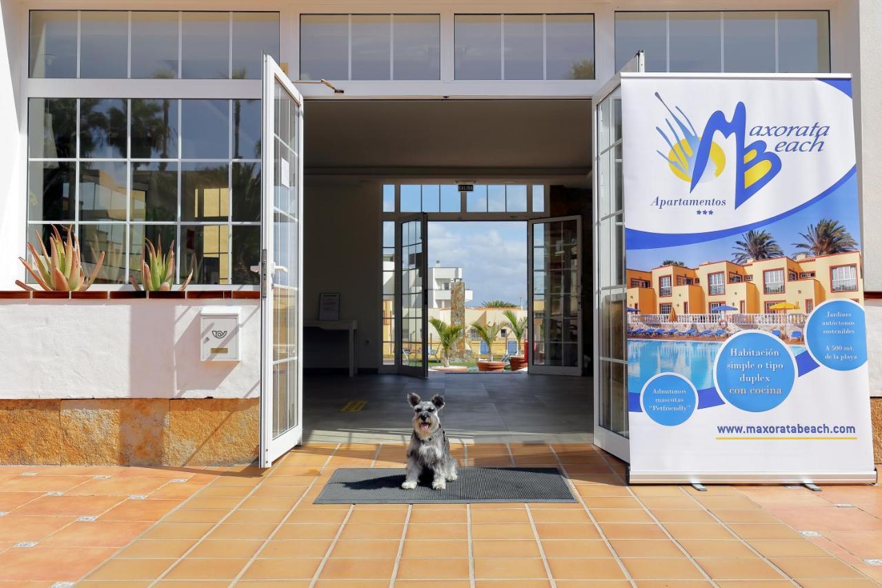 Apartamentos Maxorata Beach Corralejo Luaran gambar