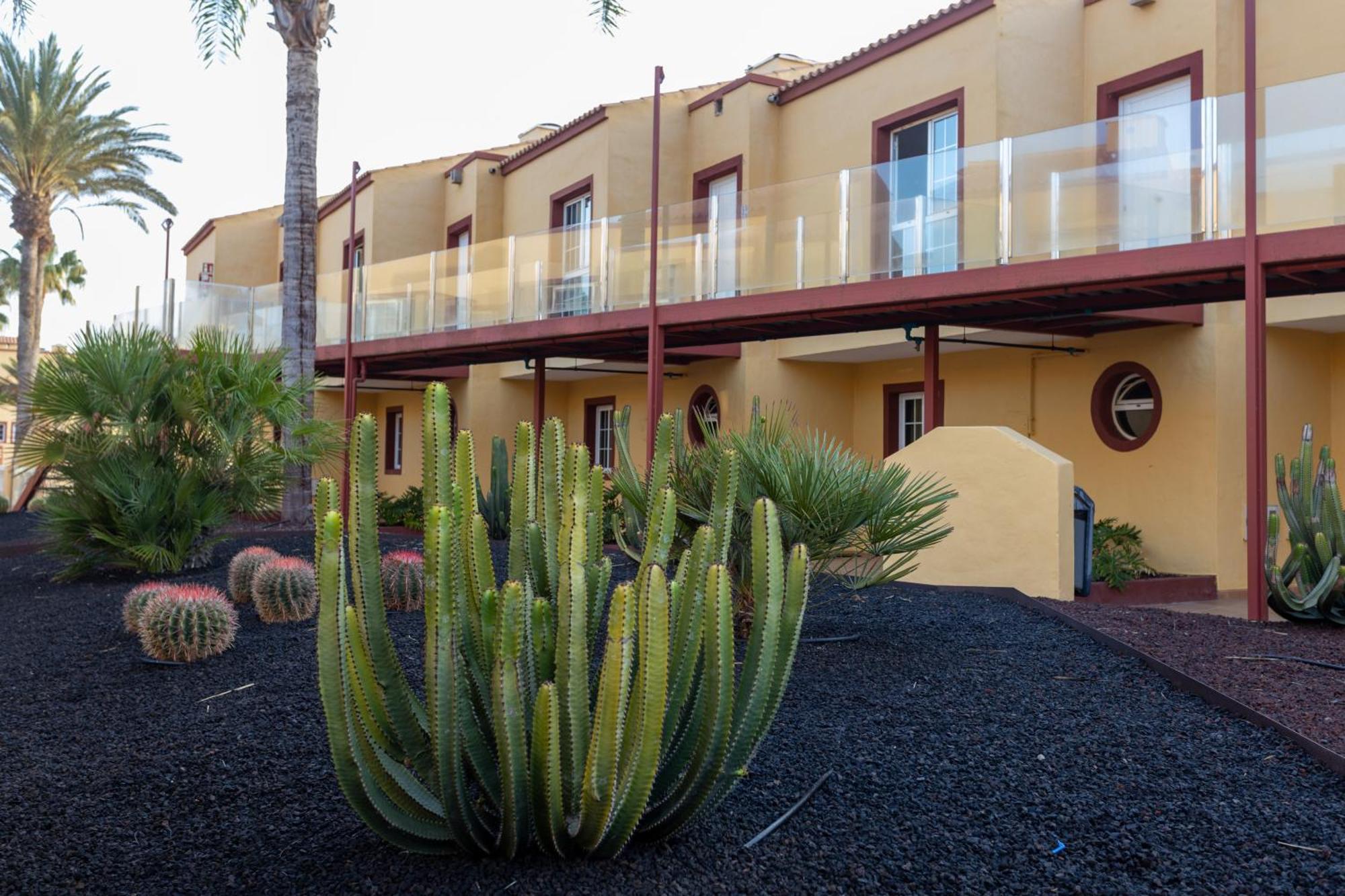 Apartamentos Maxorata Beach Corralejo Luaran gambar